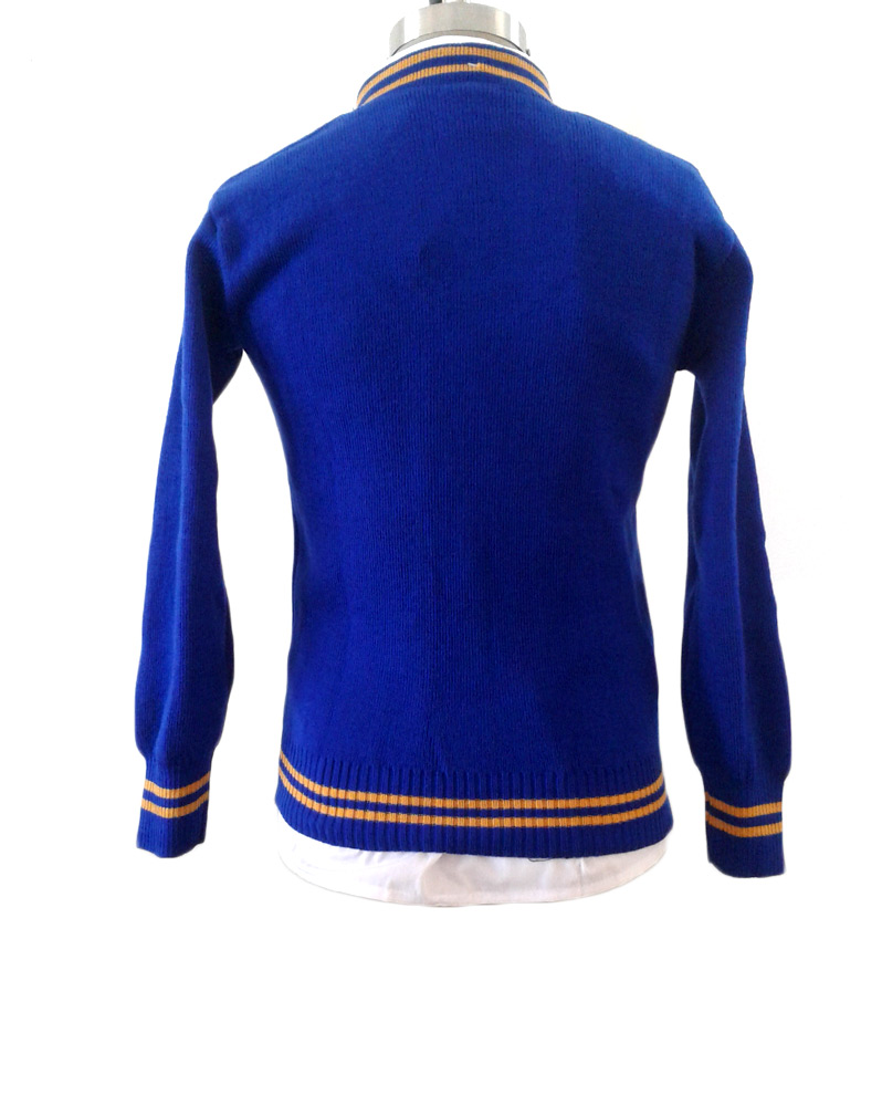Schoolwear Centre Manufacturers of School Jerseys